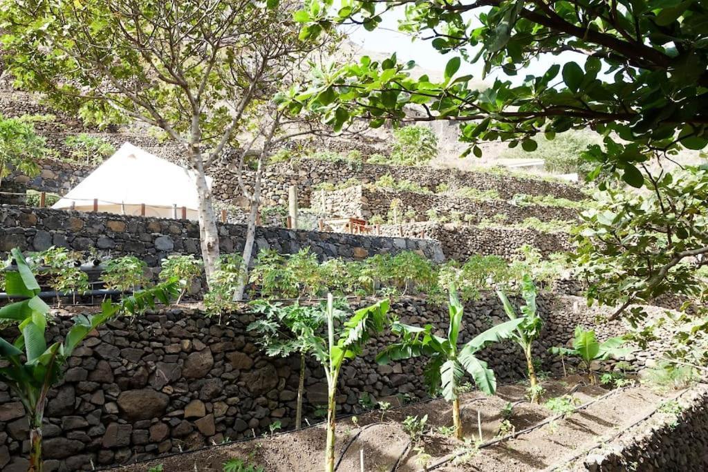 Ecolodge Kasa D'Igreja Chã da Igreja Extérieur photo
