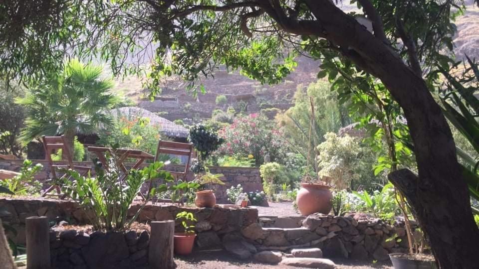 Ecolodge Kasa D'Igreja Chã da Igreja Extérieur photo